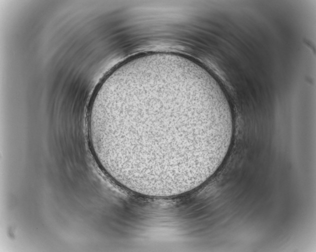 X0000099530848200805301438