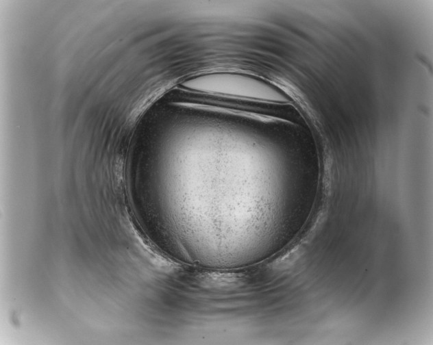 X0000099530849200805301438