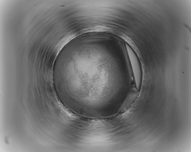 X0000099530850200805301438