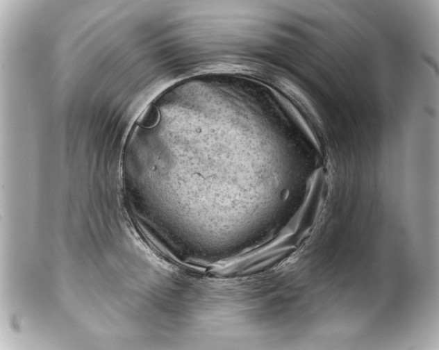 X0000099530852200805301438