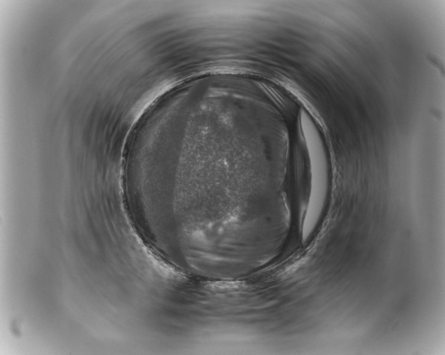 X0000099530853200805301438