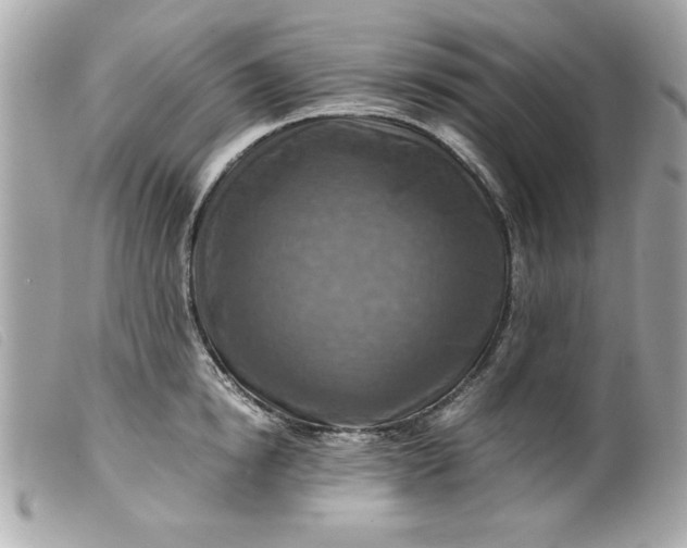 X0000099530854200805301438