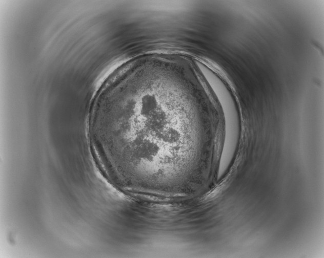 X0000099530855200805301438