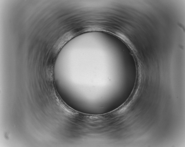 X0000099530857200805301438