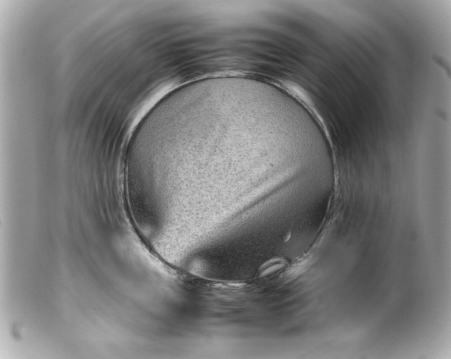 X0000099530859200805301438