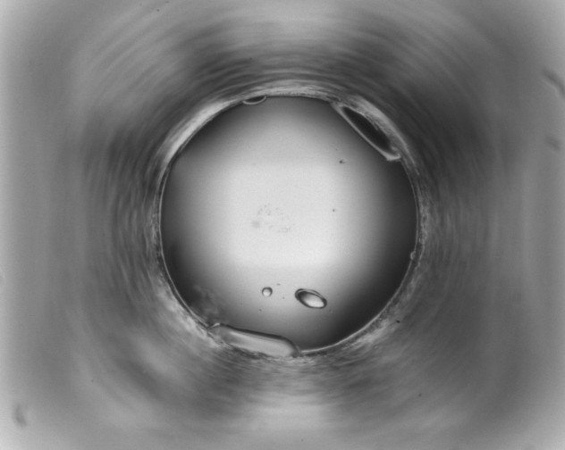 X0000099530860200805301438