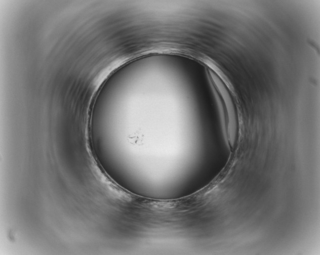 X0000099530861200805301438