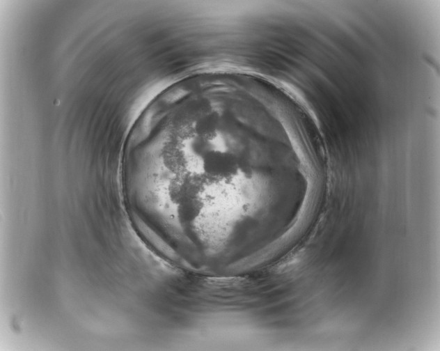 X0000099530863200805301438