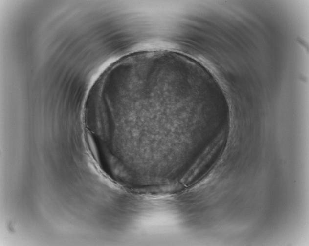 X0000099530864200805301438