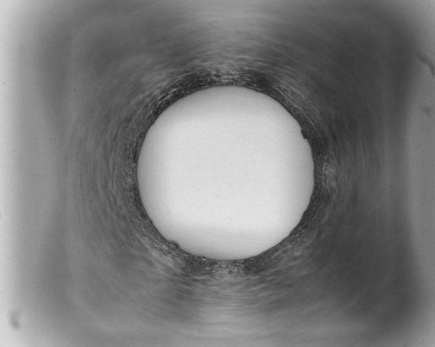 X0000099530865200805301438