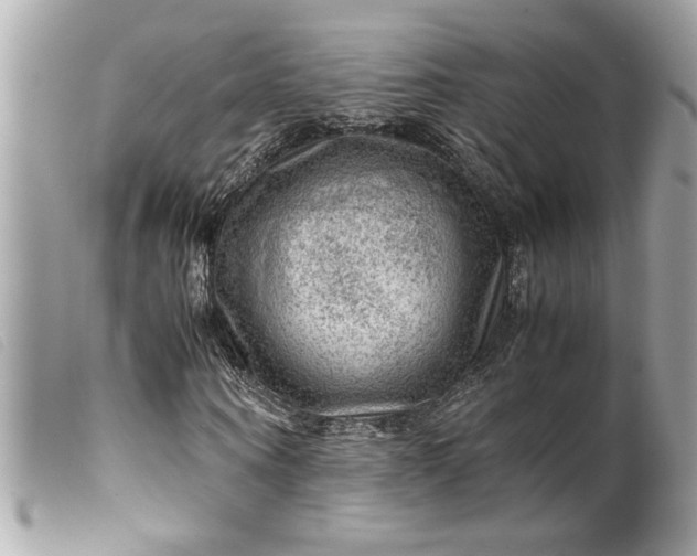 X0000099530866200805301438