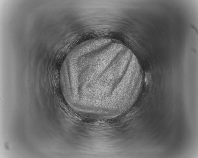 X0000099530867200805301438