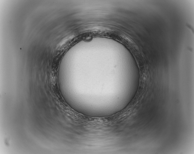 X0000099530869200805301438