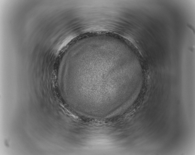 X0000099530871200805301438