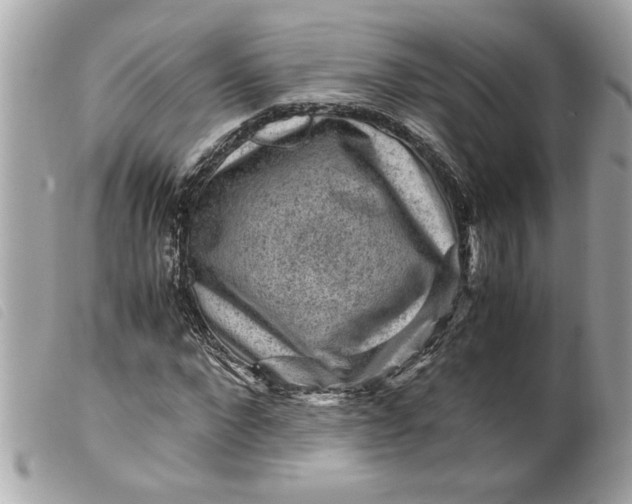 X0000099530872200805301438