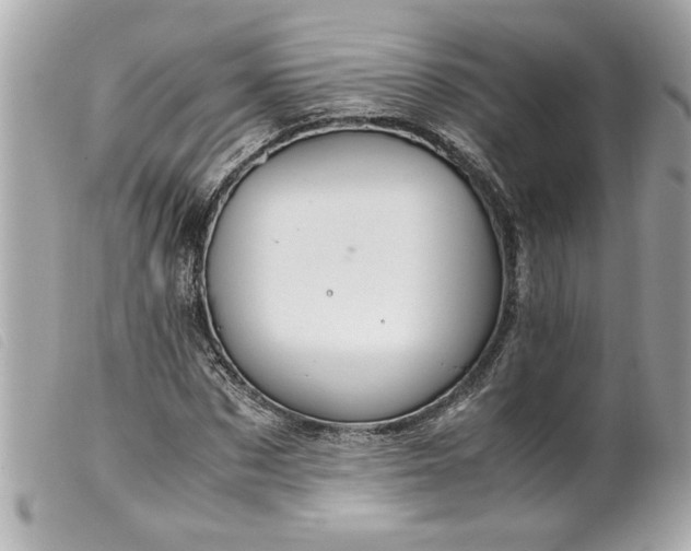 X0000099530873200805301438