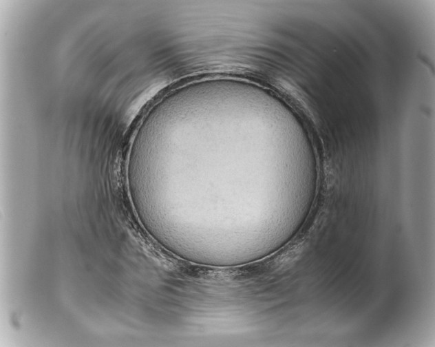 X0000099530875200805301438