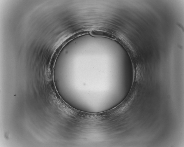 X0000099530876200805301438