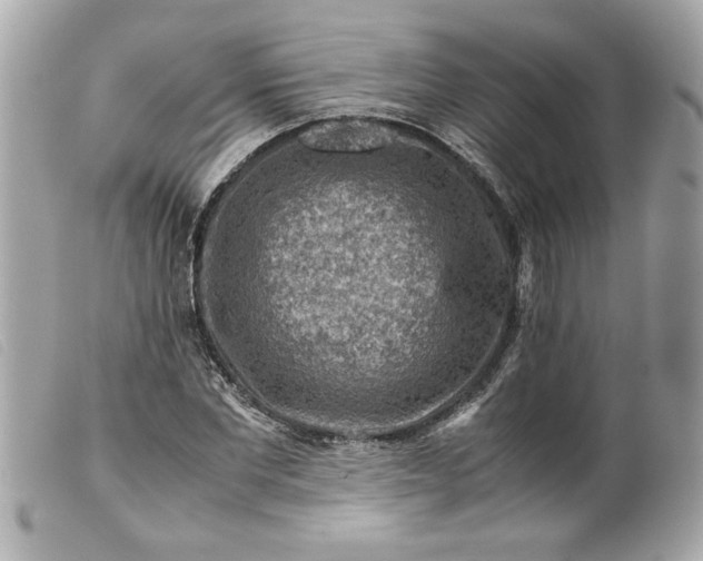 X0000099530877200805301438