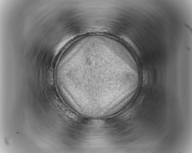 X0000099530878200805301438