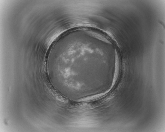 X0000099530879200805301438