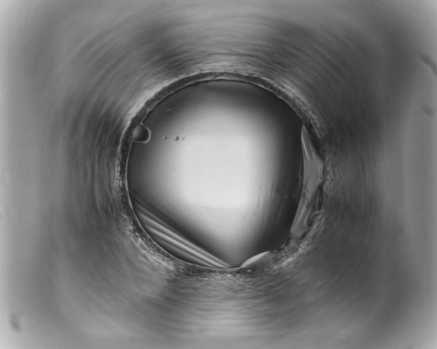 X0000099530880200805301438