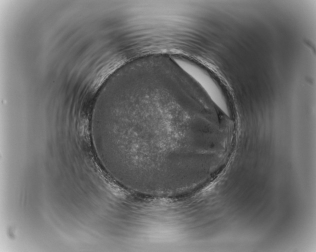 X0000099530881200805301438