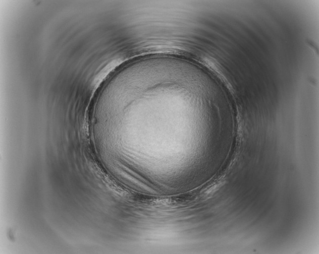 X0000099530883200805301438