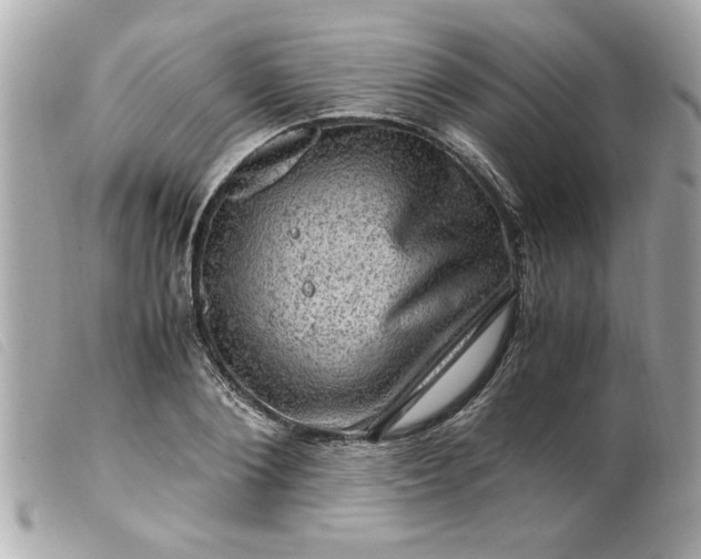 X0000099530884200805301438