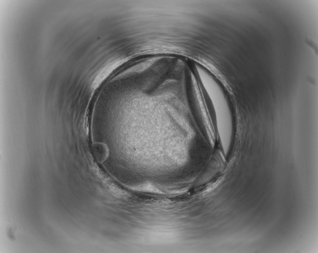 X0000099530885200805301437