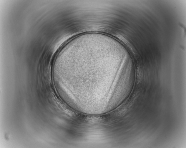 X0000099530886200805301437