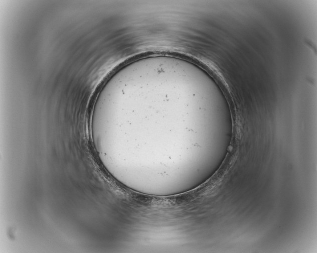 X0000099530887200805301437