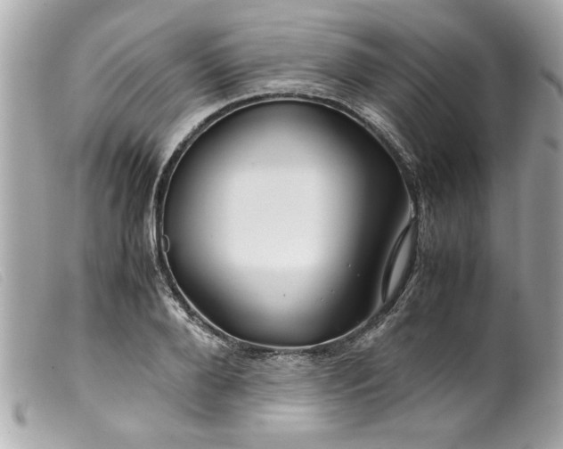 X0000099530888200805301437