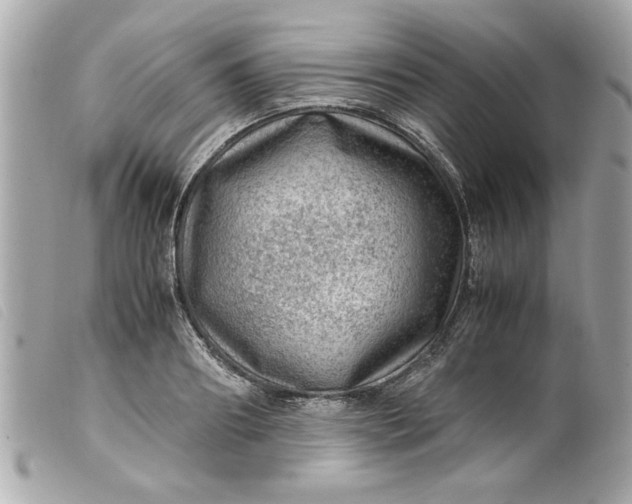 X0000099530890200805301437