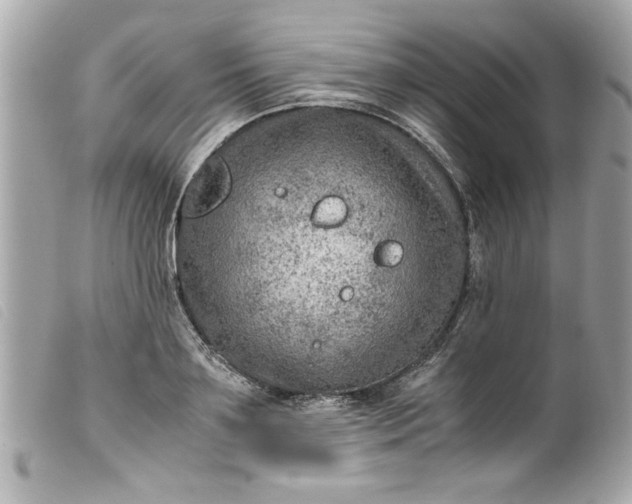 X0000099530891200805301437