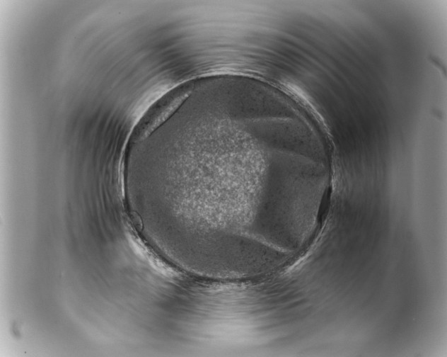 X0000099530892200805301437