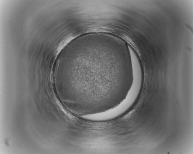 X0000099530893200805301437