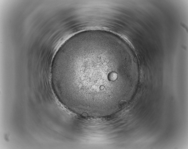 X0000099530895200805301437