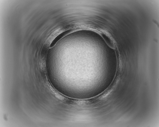 X0000099530897200805301437