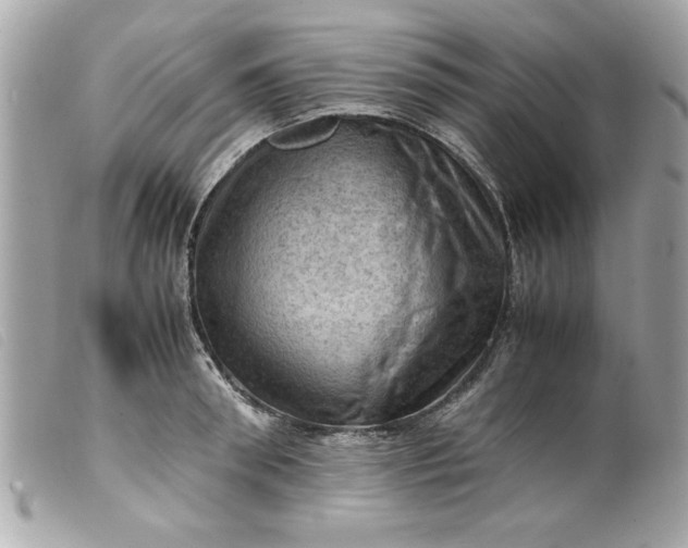 X0000099530898200805301437