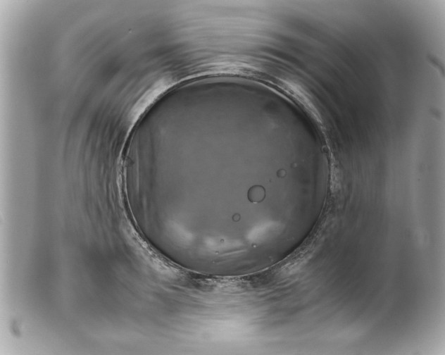 X0000099530899200805301437