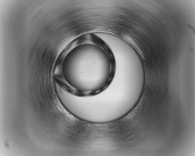 X0000099530900200805301437