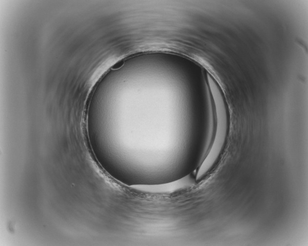 X0000099530901200805301437