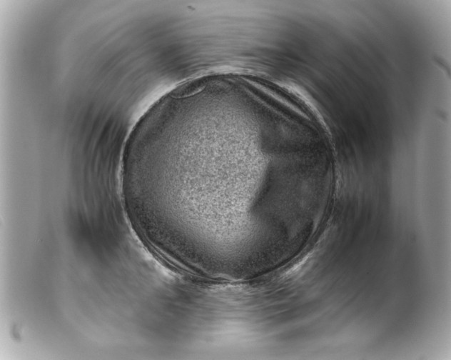 X0000099530902200805301437