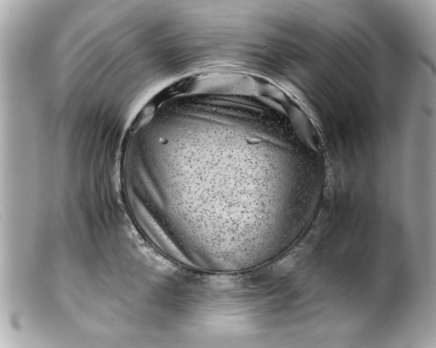 X0000099530904200805301437