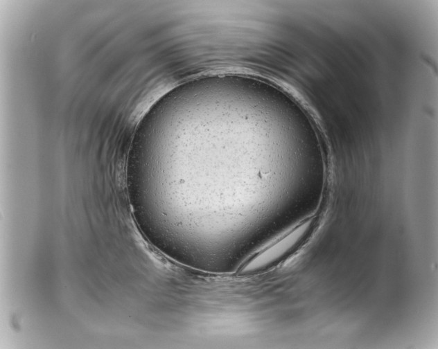 X0000099530905200805301437