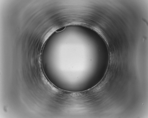 X0000099530906200805301437