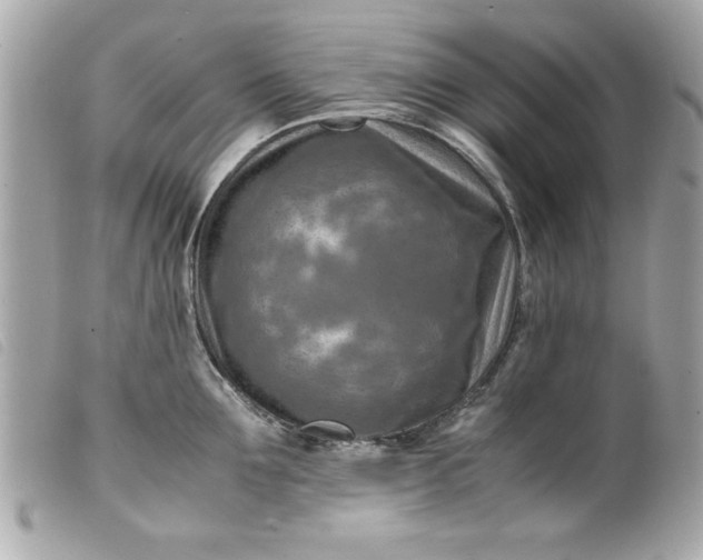 X0000099530907200805301437