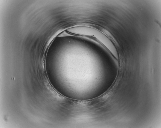 X0000099530908200805301437