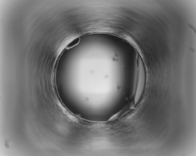 X0000099530909200805301437